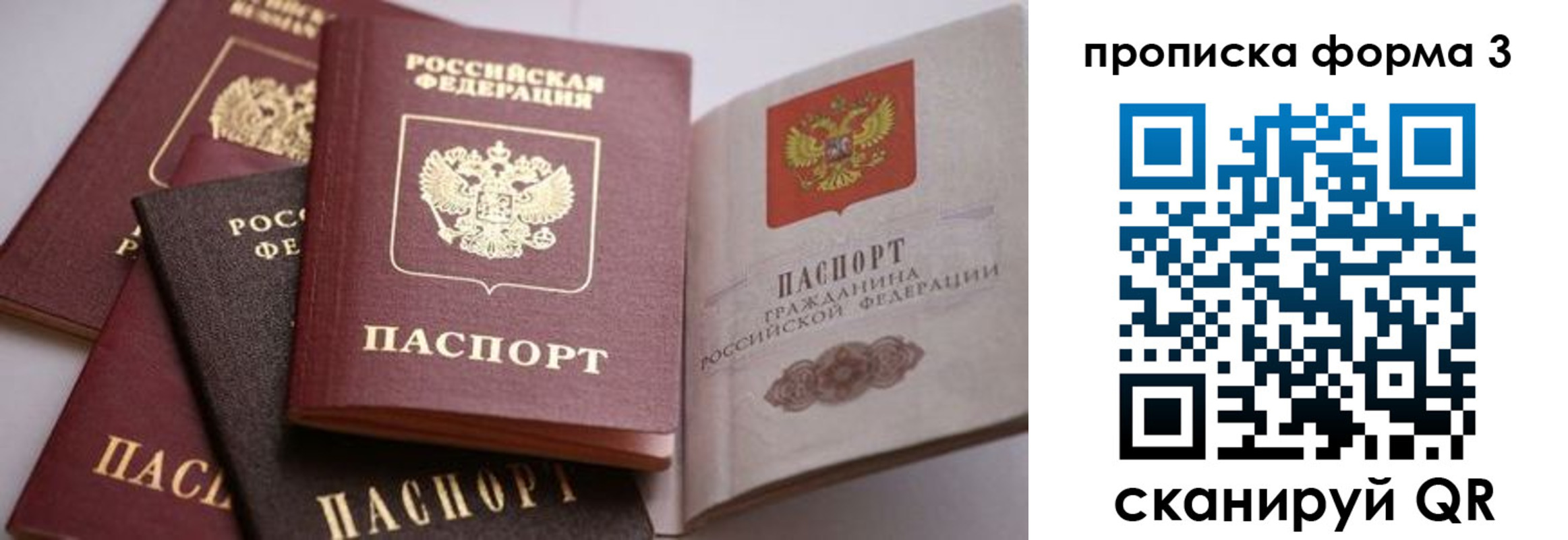 прописка для школы в Абинске